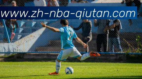 球探体育平台生态图